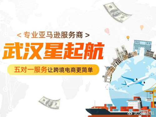 武漢星起航 把握時代脈搏，引領跨境電商新浪潮