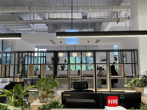 探訪成都金?！半p中心” 這個(gè)極具設(shè)計(jì)感的服務(wù)空間，如何重塑咨詢與策劃體驗(yàn)？